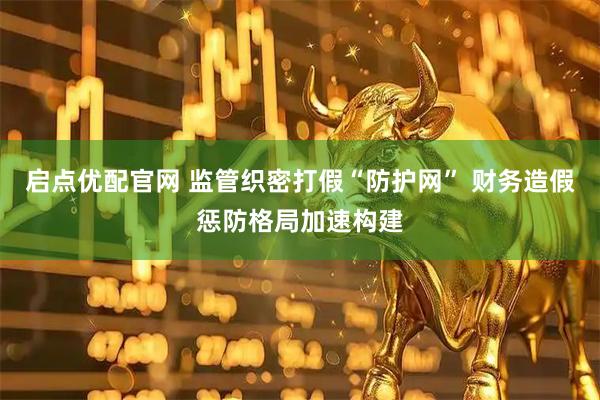 启点优配官网 监管织密打假“防护网” 财务造假惩防格局加速构建