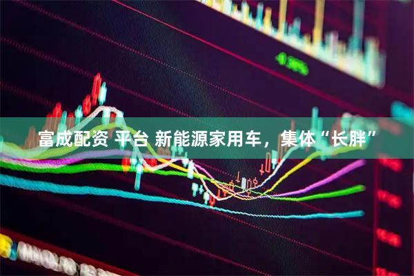 富成配资 平台 新能源家用车，集体“长胖”